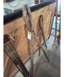 PINCE A CHARDON COURTE  BOIS