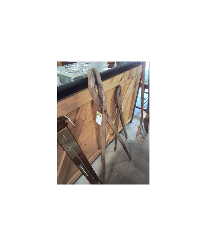 PINCE A CHARDON COURTE  BOIS
