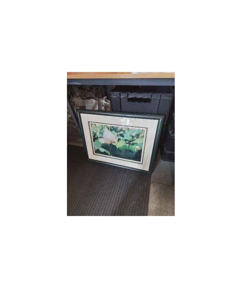 TABLEAU ROSE BLANCHE CADRE VERT