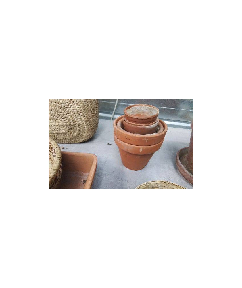 POTS TERRE LE LOT 
