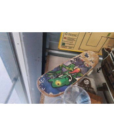 SKATE MINI EN L’ETAT 