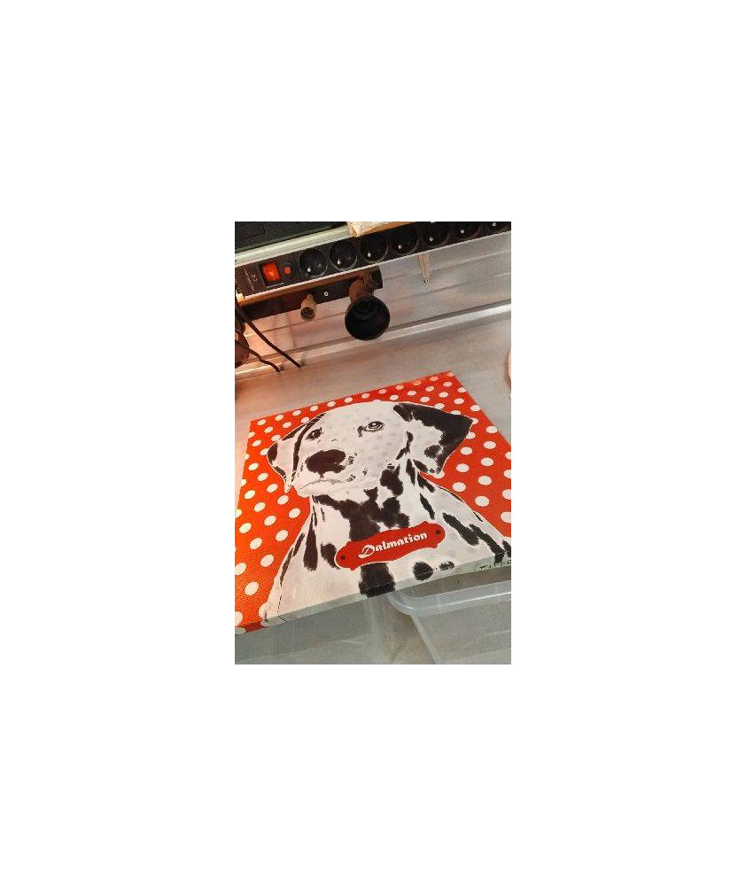 TOILE DALMATIEN 