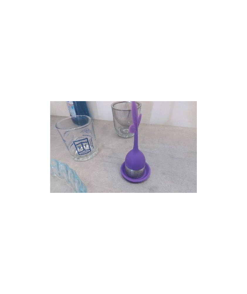 DIFFUSEUR THE SILICONE 