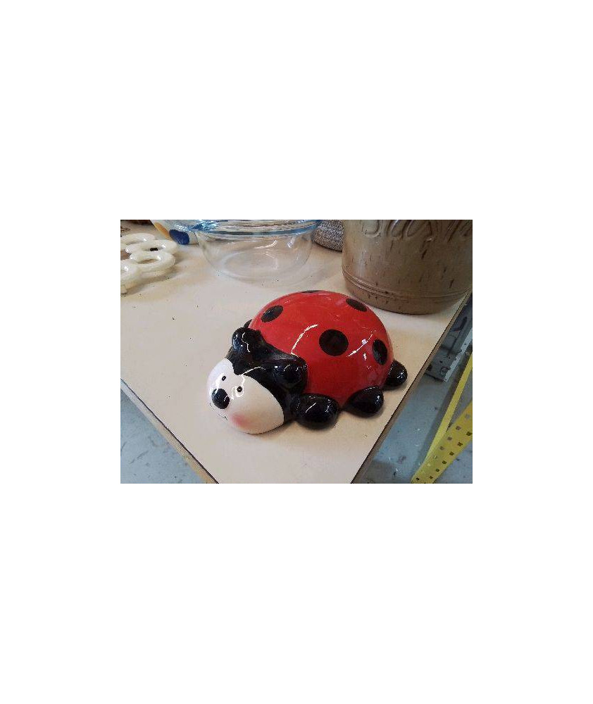 PETITE COCCINELLE DECO 