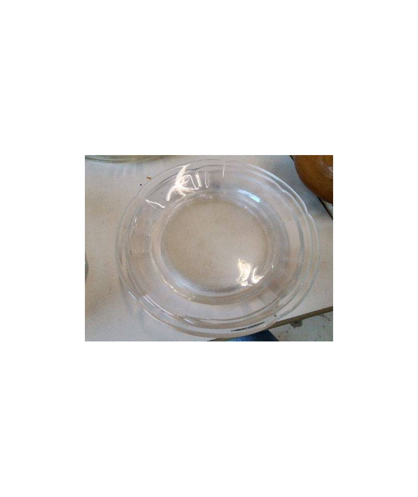 ASSIETTE EN VERRE