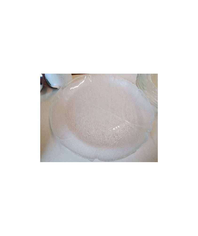ASSIETTES EN VERRE