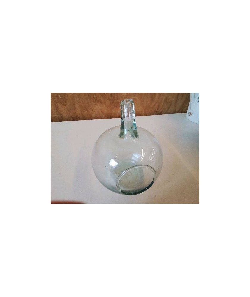 TERRARIUM EN FORME DE POMME 