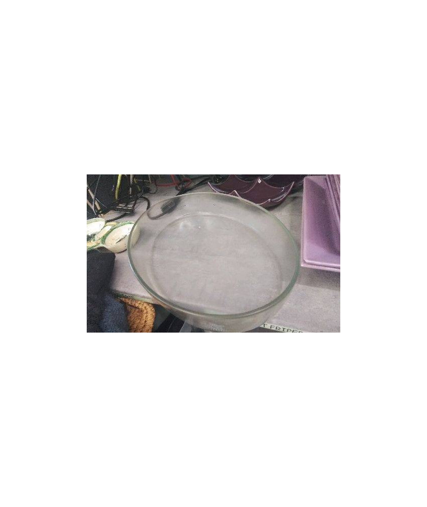 PLAT FOUR VERRE OVALE 