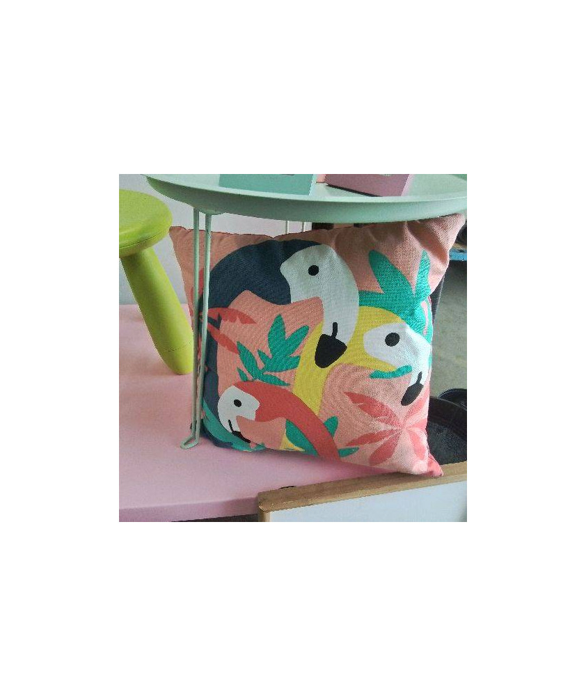 COUSSIN FLAMAND ROSE 