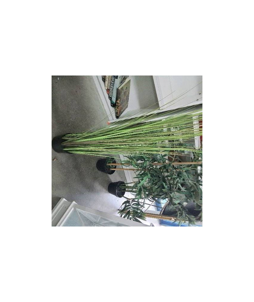 PLANTE ARTIFICIELLE MM FEUILLAGE 