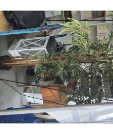 PLANTE ARTIFICIELLE BAMBOU GM
