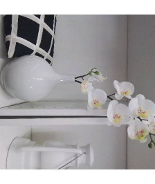 VASE BLANC AVEC ORCHIDÉE 