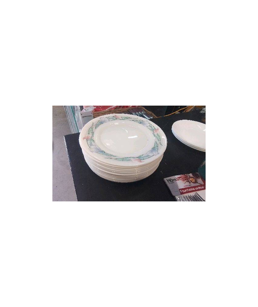 ASSIETTES ARCOPAL