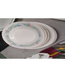 ASSIETTE ARCOPAL LE LOT