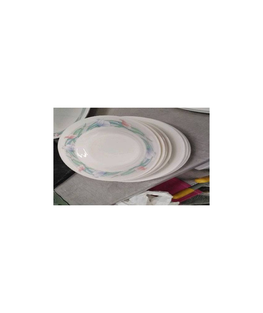 ASSIETTE ARCOPAL LE LOT