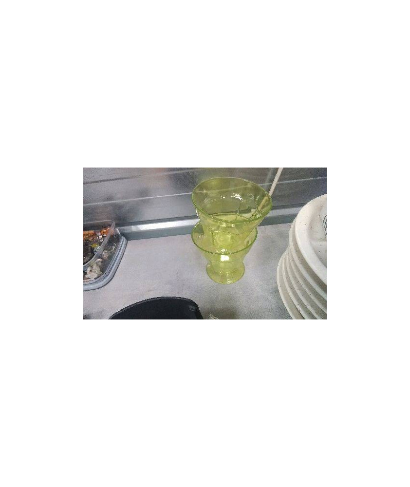 COUPES A GLACE PLASTIQUE X2