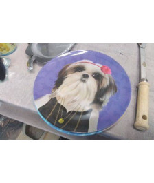ASSIETTES CHIEN - CHAT PLASTIQUE / LE LOT