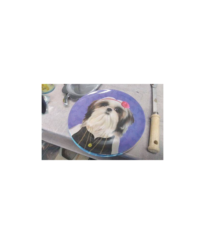 ASSIETTES CHIEN - CHAT PLASTIQUE / LE LOT