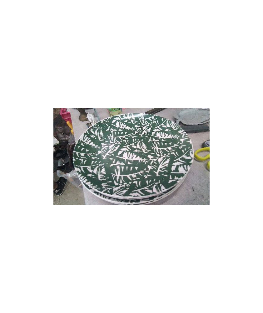 ASSIETTE VERTE LE LOT