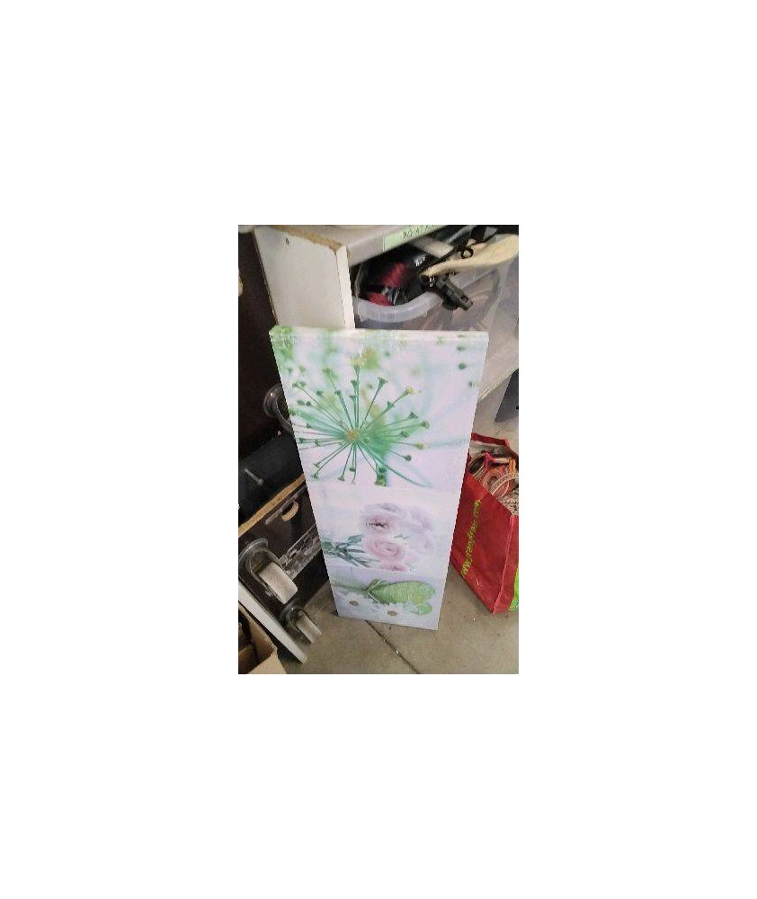 TOILE