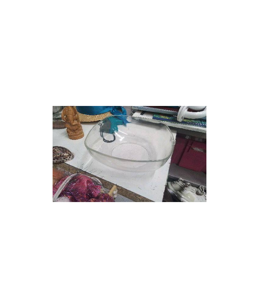 SALADIER VERRE