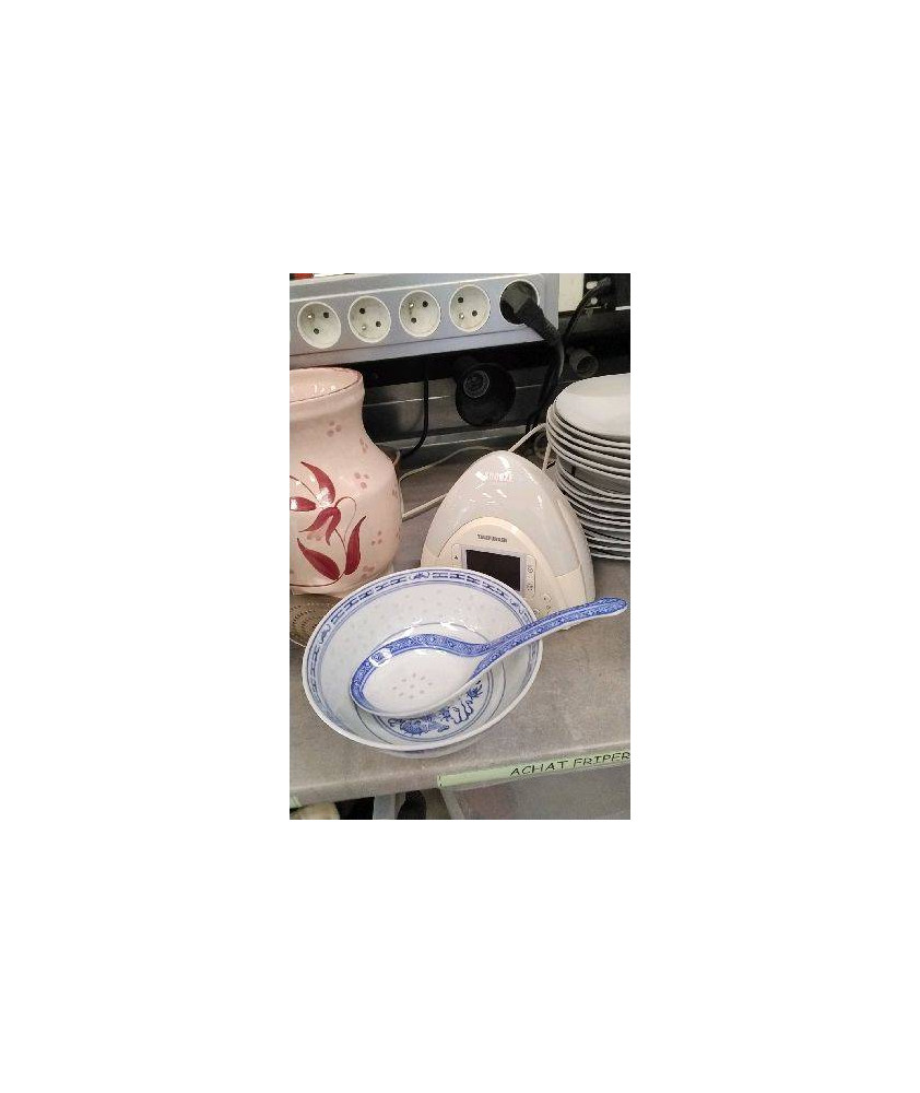 SALADIER ASIATIQUE + CUILLERE 