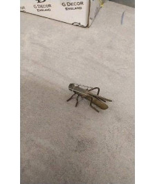 BIBELOT INSECTE 
