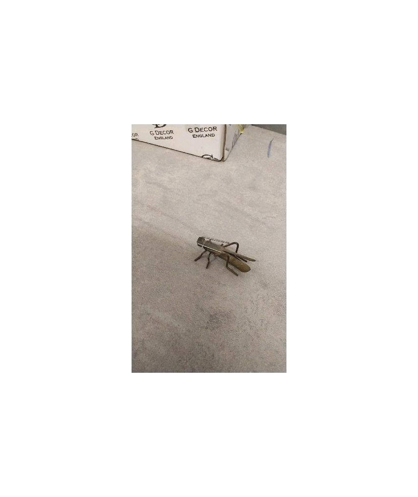 BIBELOT INSECTE 