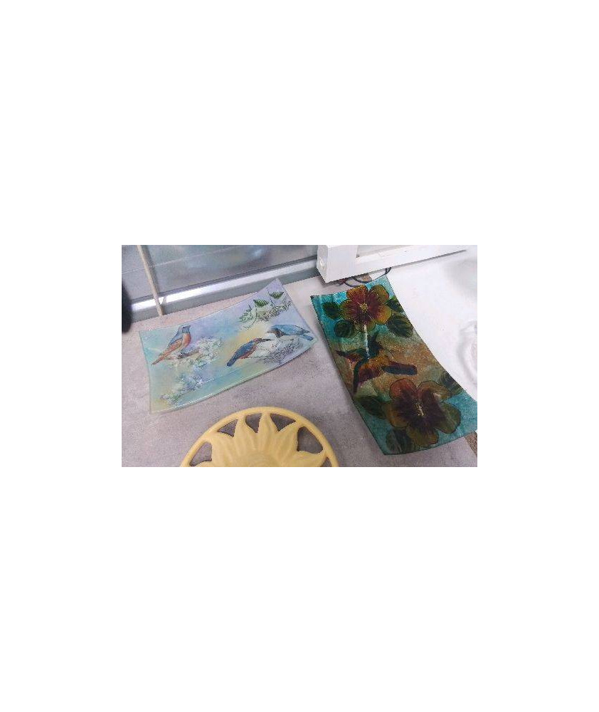 VIDE POCHE VERRE OISEAU 