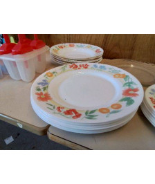 LOT 6 ASSIETTES PLATES 