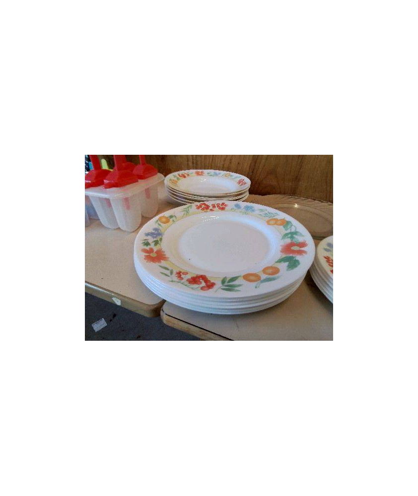 LOT 6 ASSIETTES PLATES 