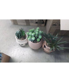 DECO POT CACTUS SYNTHÉTIQUE 