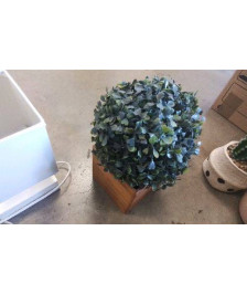 DECO POT BOULE BUIS