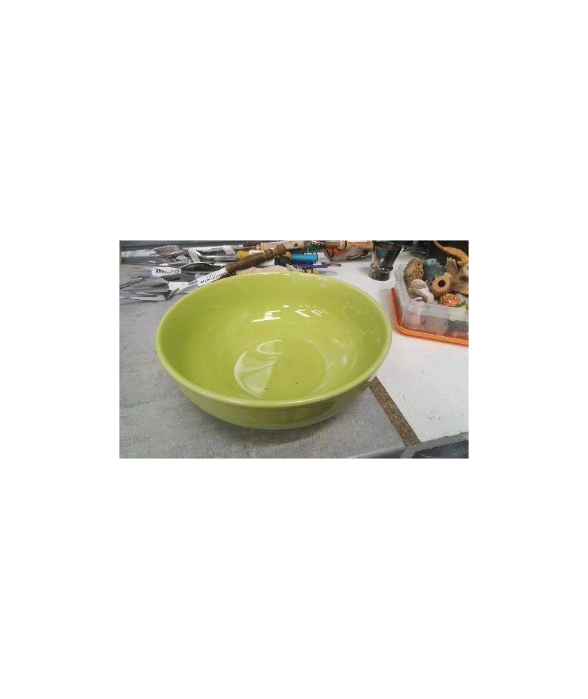 SALADIER VERT 