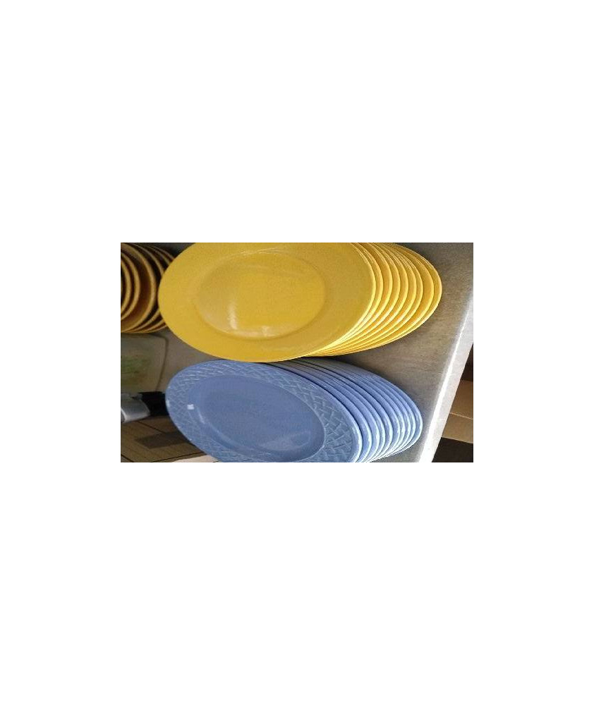 ASSIETTE A DESSERT COULEUR 
