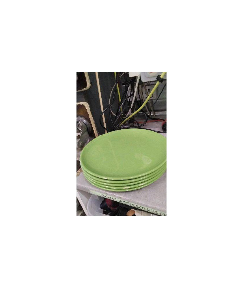 ASSIETTE VERTE EN L ÉTAT LE LOT