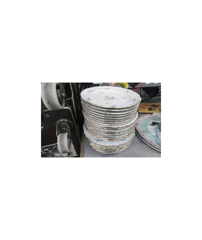 ASSIETTES PORCELAINE ROYALE LE LOT