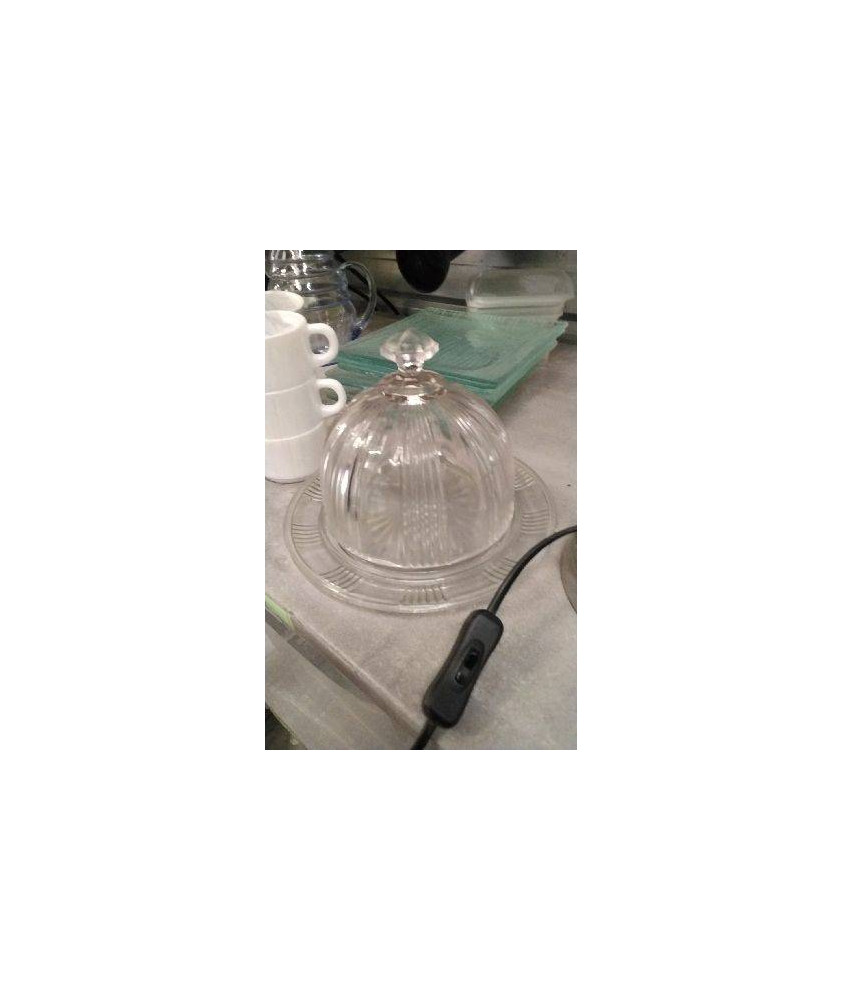 CLOCHE VERRE PM 