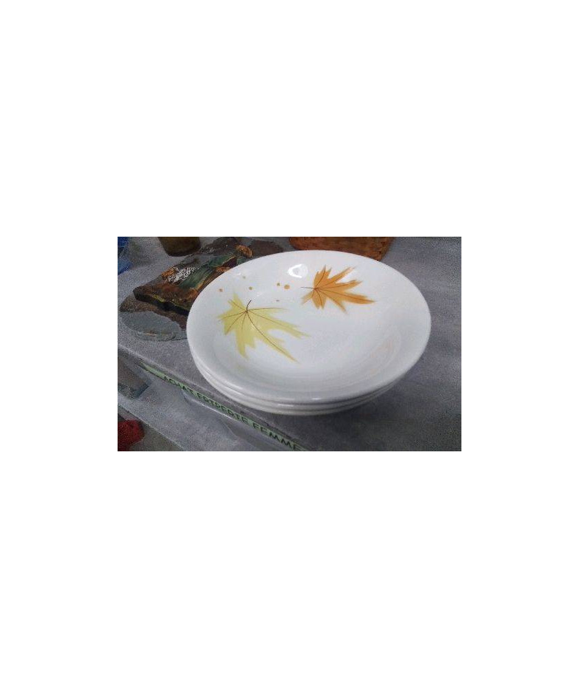 ASSIETTE CREUSE LONGCHAMP EN L’ETAT 