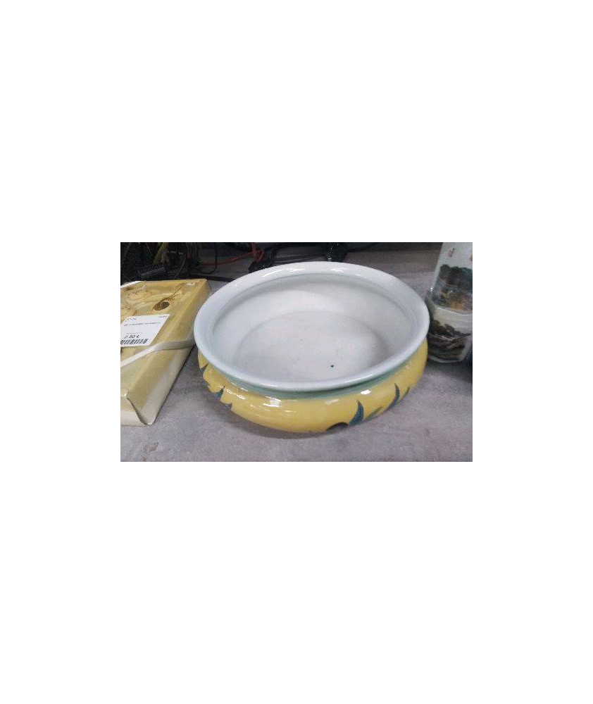 PLAT CREUX OLIVES