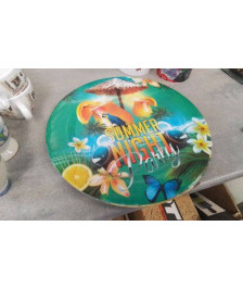 ASSIETTE PLASTIQUE  X2