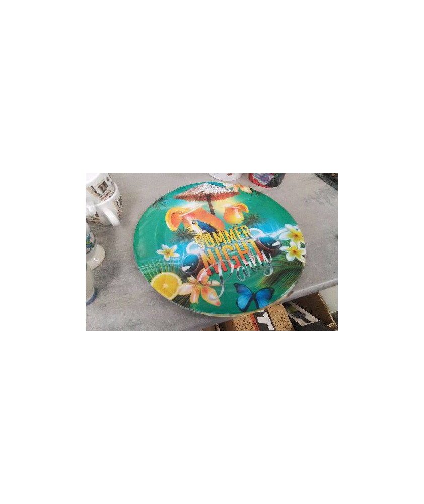 ASSIETTE PLASTIQUE  X2