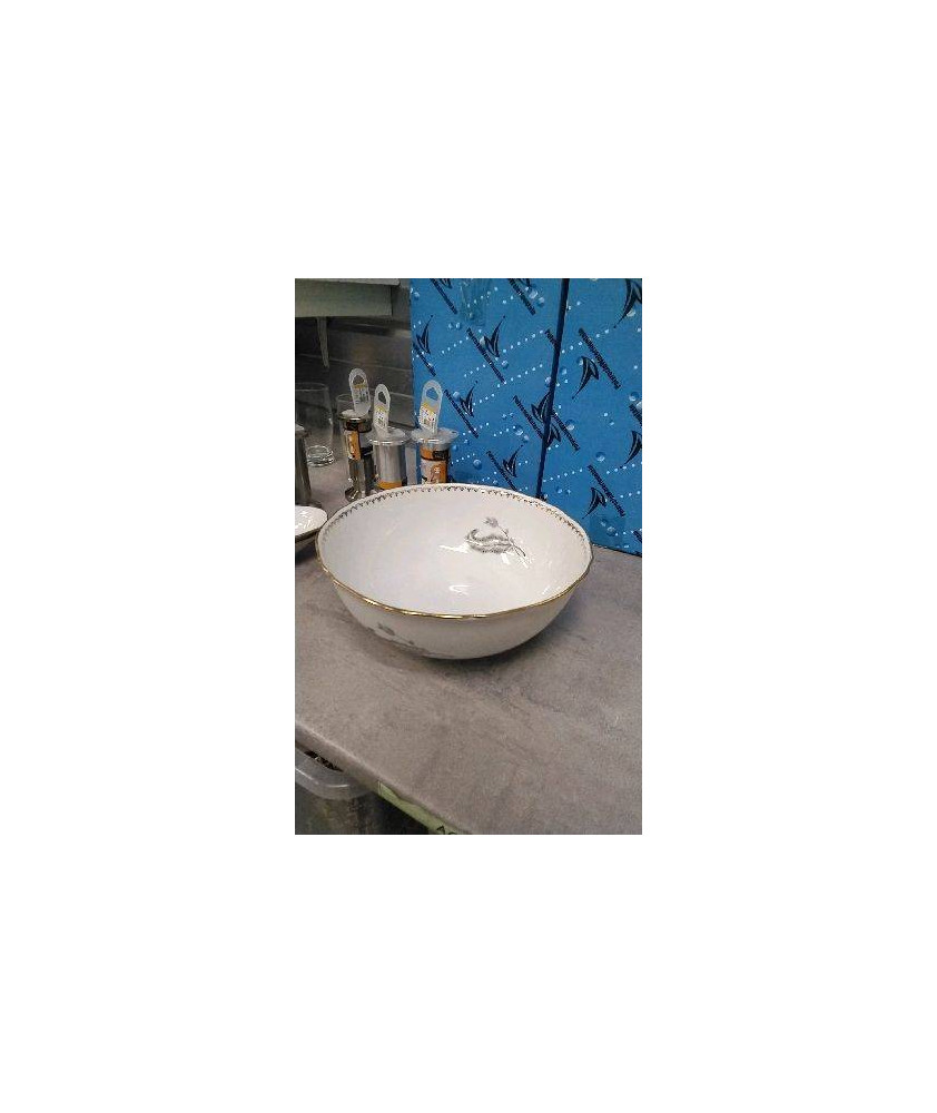 SALADIER PORCELAINE 