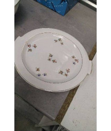 PLAT SALINS 