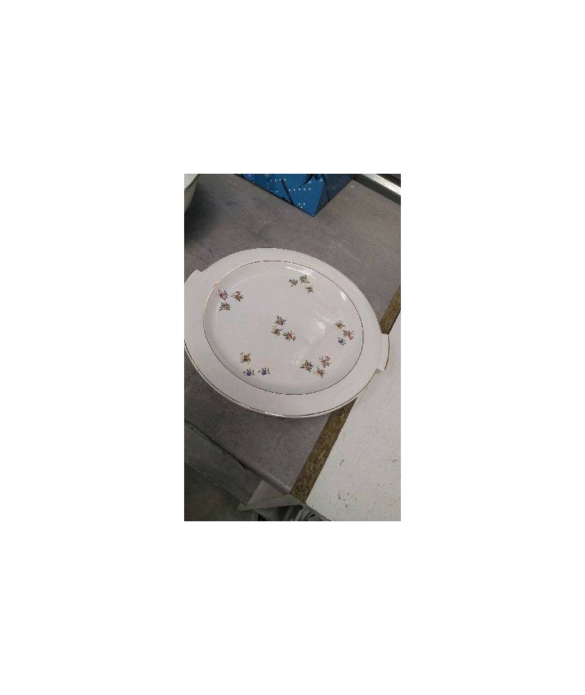 PLAT SALINS 