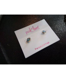 BOUTON D’OREILLE PARK LANE