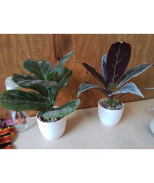 PLANTE ARTIFICIELLE 