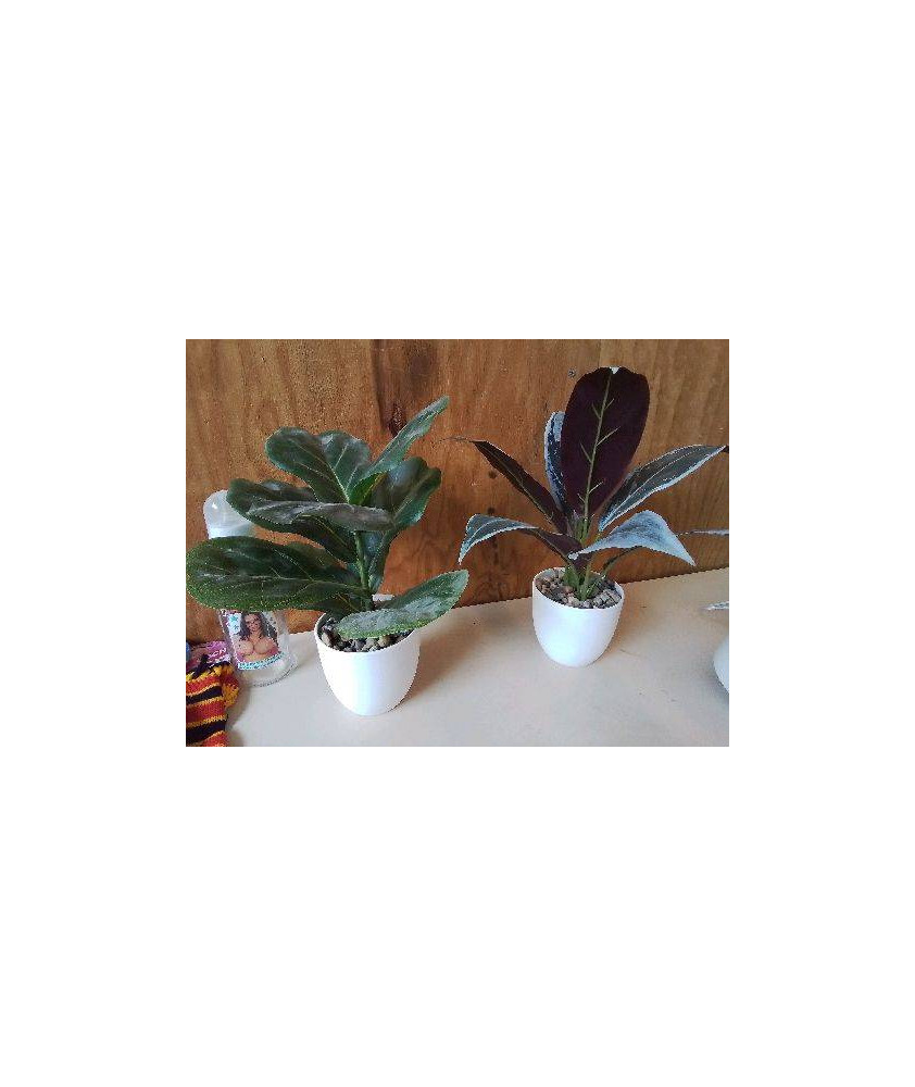 PLANTE ARTIFICIELLE 