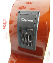 GUITARE ELECTRO-ACCOUSTIQUE  TANGLEWOOD DISCOVERY DBT SJCE TB
