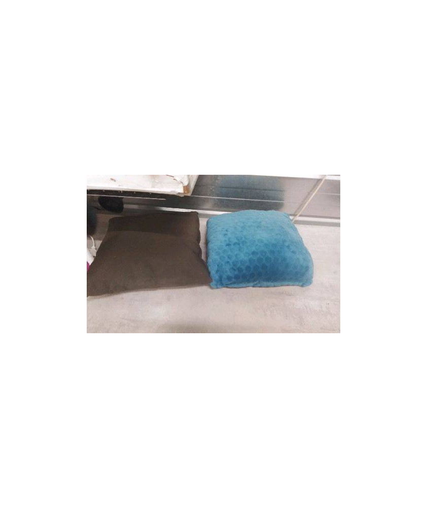 COUSSIN 